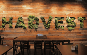 Plant wall graphics - Harvest plant lettering built into wooden wall